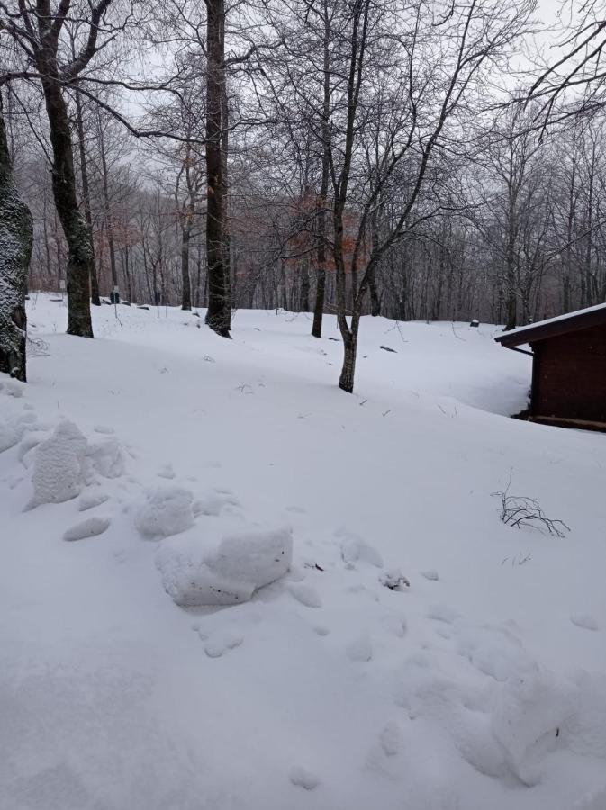 Villaggio Anemone - Chalet Mirtillo Capanne di Sillano المظهر الخارجي الصورة